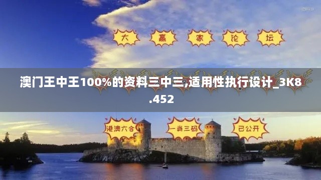 澳门王中王100%的资料三中三,适用性执行设计_3K8.452