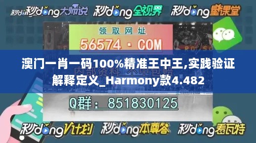 澳门一肖一码100%精准王中王,实践验证解释定义_Harmony款4.482