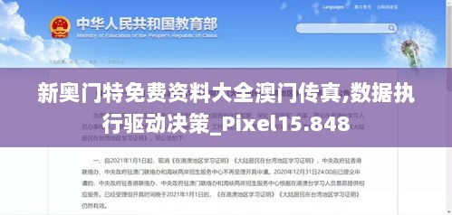 新奥门特免费资料大全澳门传真,数据执行驱动决策_Pixel15.848