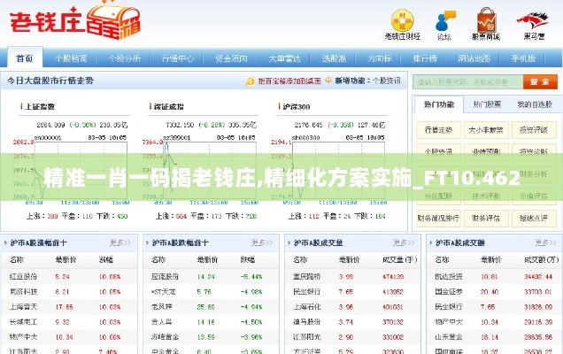 精准一肖一码揭老钱庄,精细化方案实施_FT10.462