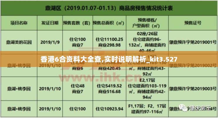 香港6合资料大全查,实时说明解析_kit3.527