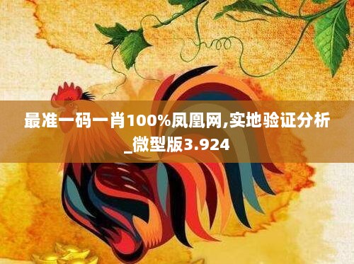 最准一码一肖100%凤凰网,实地验证分析_微型版3.924