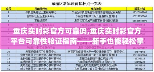 重庆实时彩官方平台可靠性解析与验证指南，新手无忧参考