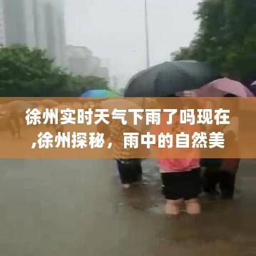 徐州雨中探秘，自然美景之旅，实时天气下的内心宁静与平和之旅