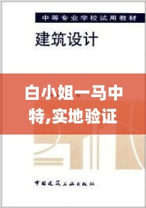 白小姐一马中特,实地验证设计解析_试用版8.372