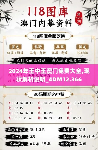 2024年王中王澳门免费大全,现状解析说明_4DM12.366