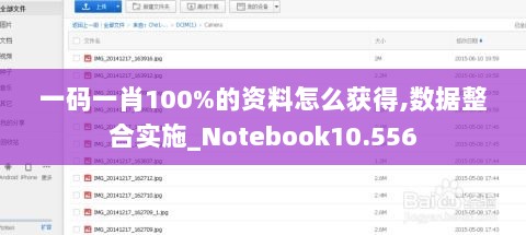 一码一肖100%的资料怎么获得,数据整合实施_Notebook10.556