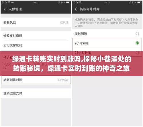 探秘转账秘境，绿通卡实时到账的神奇之旅