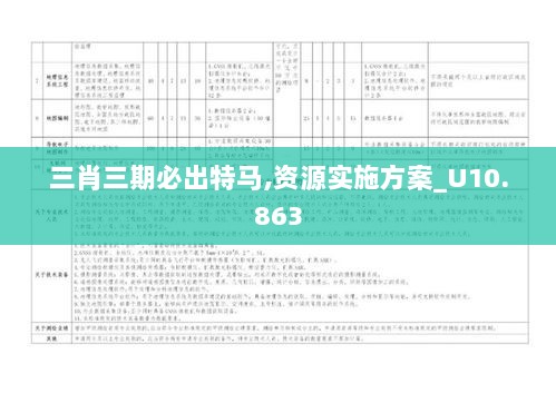 三肖三期必出特马,资源实施方案_U10.863