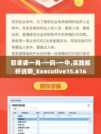 管家婆一肖-一码-一中,实践解析说明_Executive15.616