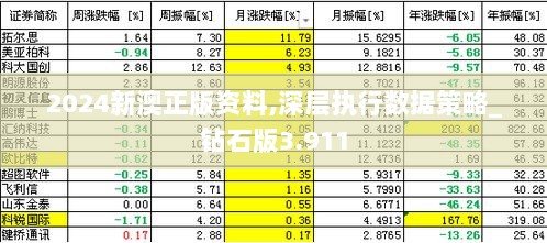 2024新澳正版资料,深层执行数据策略_钻石版3.911