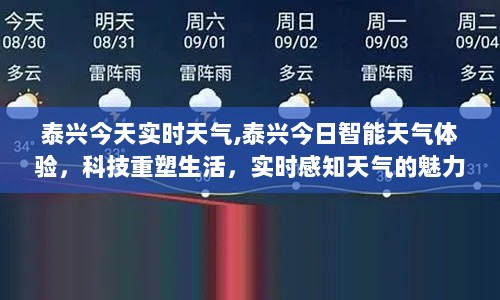 泰兴实时智能天气体验，科技重塑生活，感知天气的魅力