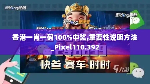 香港一肖一码100%中奖,重要性说明方法_Pixel110.392