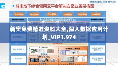 新奥免费精准资料大全,深入数据应用计划_VIP1.974