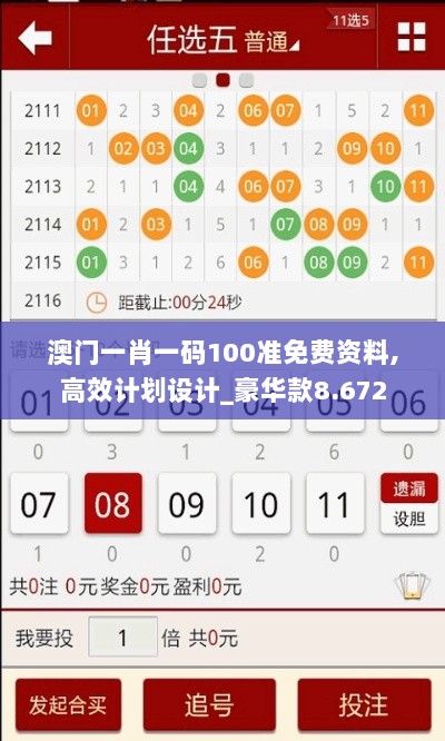 澳门一肖一码100准免费资料,高效计划设计_豪华款8.672