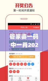 管家婆一码中一肖2024,互动性执行策略评估_体验版6.656