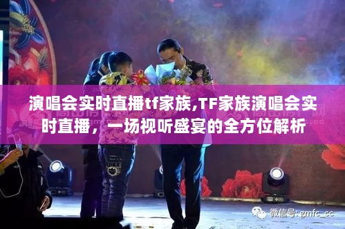 TF家族演唱会实时直播，视听盛宴全方位解析