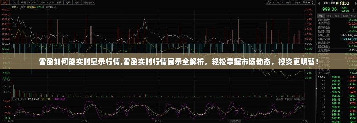 雪盈实时行情展示全解析，洞悉市场动态，明智投资决策！