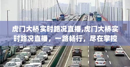 虎门大桥实时路况直播，一路畅行，路况尽在掌控