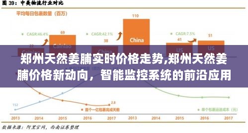 郑州天然姜脯价格动态及智能监控系统前沿应用探究