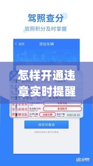 智能时代下的交通管理革新，违章实时提醒系统开通指南