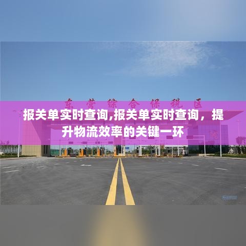 报关单实时查询，提升物流效率的关键环节