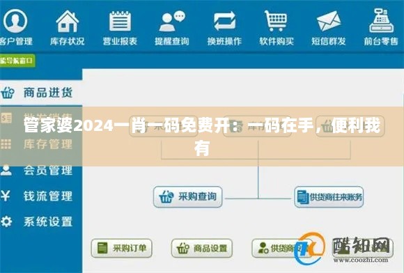 管家婆2024一肖一码免费开：一码在手，便利我有