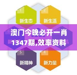 澳门今晚必开一肖1347期,效率资料解释定义_UHD10.215