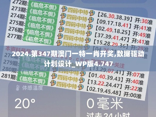 2024.第347期澳门一特一肖开奖,数据驱动计划设计_WP版4.747