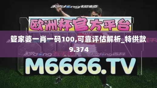 管家婆一肖一码100,可靠评估解析_特供款9.374