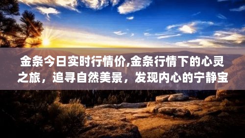 金条行情下的心灵探寻，实时行情与自然美景的双重启示