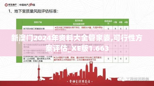 新澳门2024年资料大全管家婆,可行性方案评估_XE版1.663