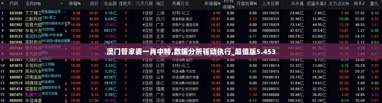 澳门管家婆一肖中特,数据分析驱动执行_超值版5.453