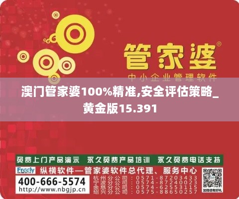 澳门管家婆100%精准,安全评估策略_黄金版15.391