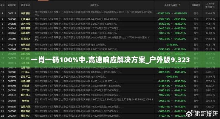 一肖一码100%中,高速响应解决方案_户外版9.323