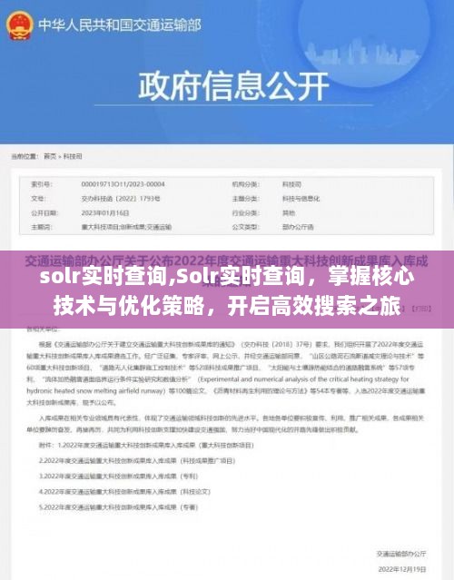 Solr实时查询核心技术及优化策略，高效搜索之旅的起点