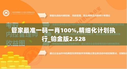 管家最准一码一肖100%,精细化计划执行_铂金版2.528