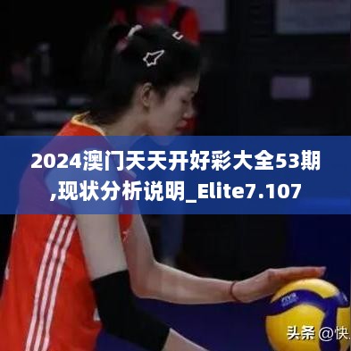 2024澳门天天开好彩大全53期,现状分析说明_Elite7.107