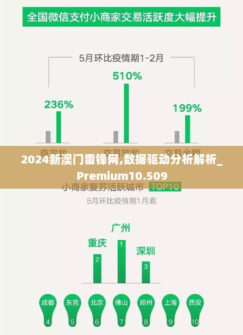 2024新澳门雷锋网,数据驱动分析解析_Premium10.509