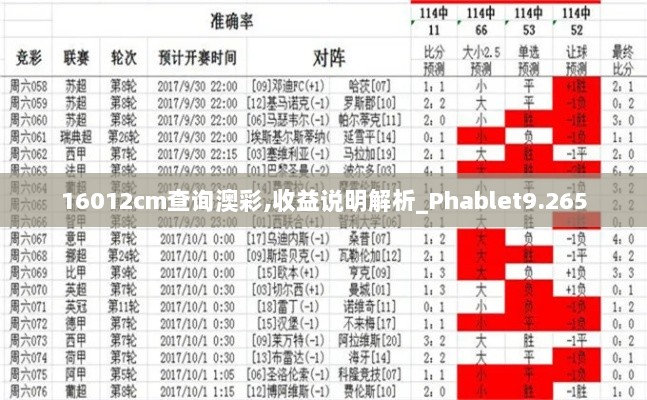 16012cm查询澳彩,收益说明解析_Phablet9.265