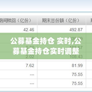 公募基金持仓实时调整深度解析与观点阐述