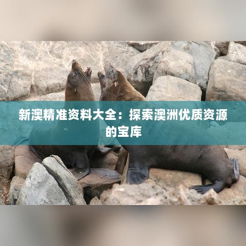 新澳精准资料大全：探索澳洲优质资源的宝库