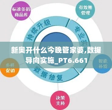 新奥开什么今晚管家婆,数据导向实施_PT6.661