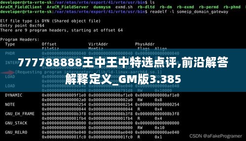 777788888王中王中特选点评,前沿解答解释定义_GM版3.385