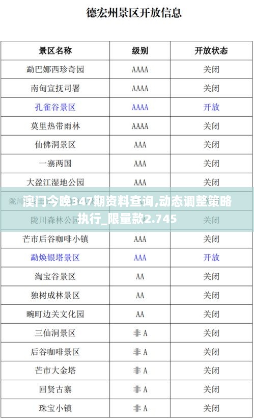 澳门今晚347期资料查询,动态调整策略执行_限量款2.745