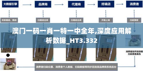 澳门一码一肖一特一中全年,深度应用解析数据_HT3.332