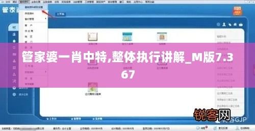 管家婆一肖中特,整体执行讲解_M版7.367