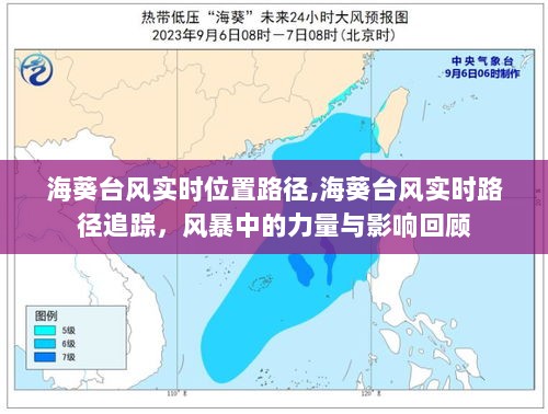 2024年12月13日 第49页