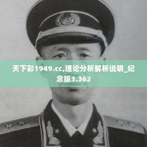 天下彩1949.cc,理论分析解析说明_纪念版3.362