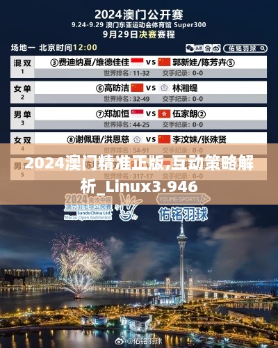 2024澳门精准正版,互动策略解析_Linux3.946